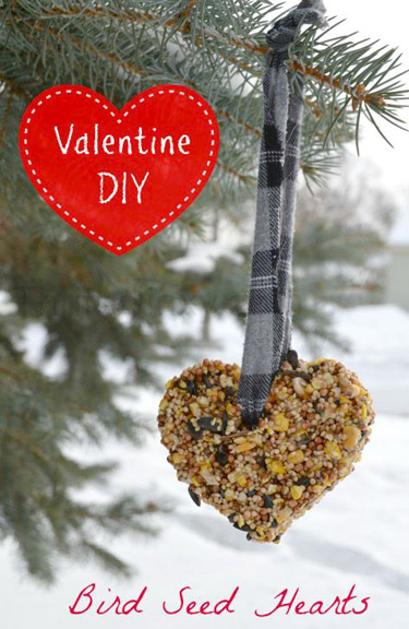 Valentine Bird Seed Hearts