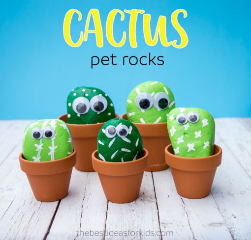 Pet Cactus Rocks